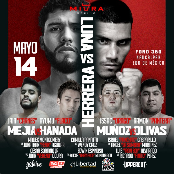 Box Internacional